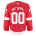 Detroit Red Wings Fanatics Home Authentic Pro Custom Jersey Red
